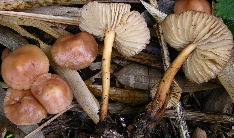 Risposte griglia 2 (marted� 29 maggio)